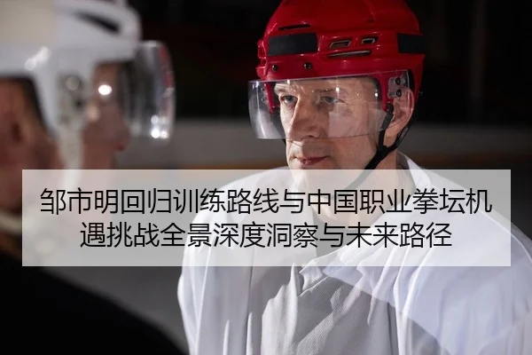 邹市明回归训练路线与中国职业拳坛机遇挑战全景深度洞察与未来路径